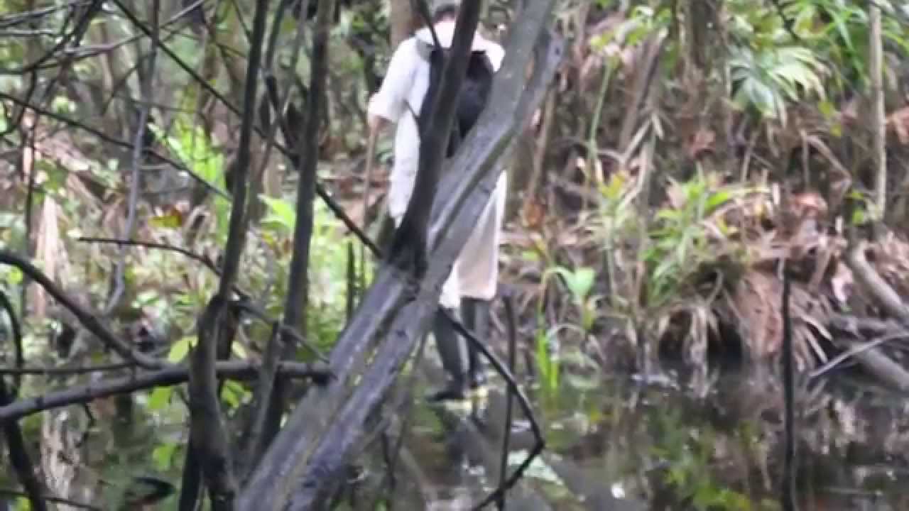 Trekking at Research Lodge Tahuayo River, Amazonia Expeditions