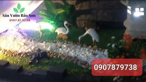 Tiểu cảnh cầu thang cho nhà ống đơn giản mà đẹp mê mẩn 2022