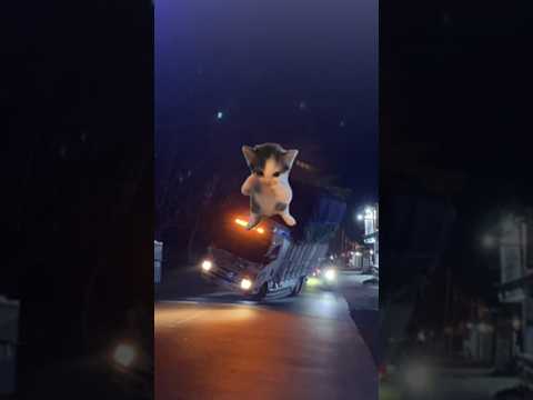 JJ KICAU KICAU MANIA VERSI KUMPULAN TRUCK OLENG PARAH #shorts #trending #trukoleng