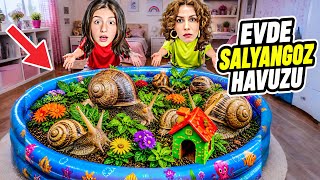 Evde Salyangoz Havuzu Annesi̇ Esmanur Ve Sarayi Evden Kovdu