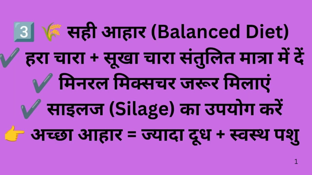 डेयरी फार्म को गर्मी से कैसे बचाएं? | Heat Stress Solution for Dairy Farm