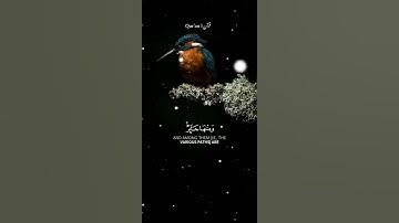 والخيل والبغال والحمير لتركبوها #اكسبلور #راحة_نفسية #خالد_الجليل#سورة_النحل#الله #أجر_لي_ولكم#الله