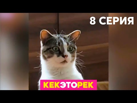 Кек, это рек! | Выпуск 8