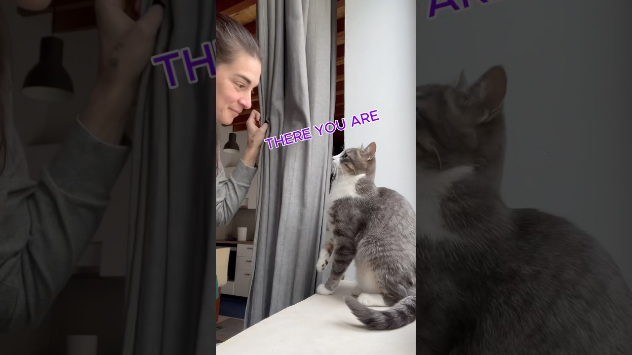 High Stakes Peek a Boo 😅