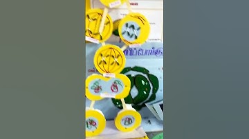 Biological science ✨ Teaching aids .. #b.ed commission #chart work