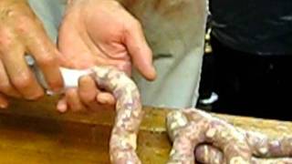 How the sausage is made.AVI