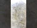 Keep-nut Machine granite