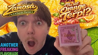 The Best Orange Terp!? Zamosa by LAFF