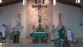 StStephenBulldogs Live Stream