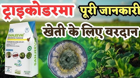 trichoderma benefits in crop | bio fungicide trichoderma | @TfarmingGyan 