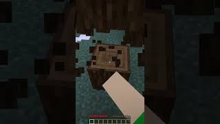 POV: Gdy grasz w Minecrafta po raz pierwszy