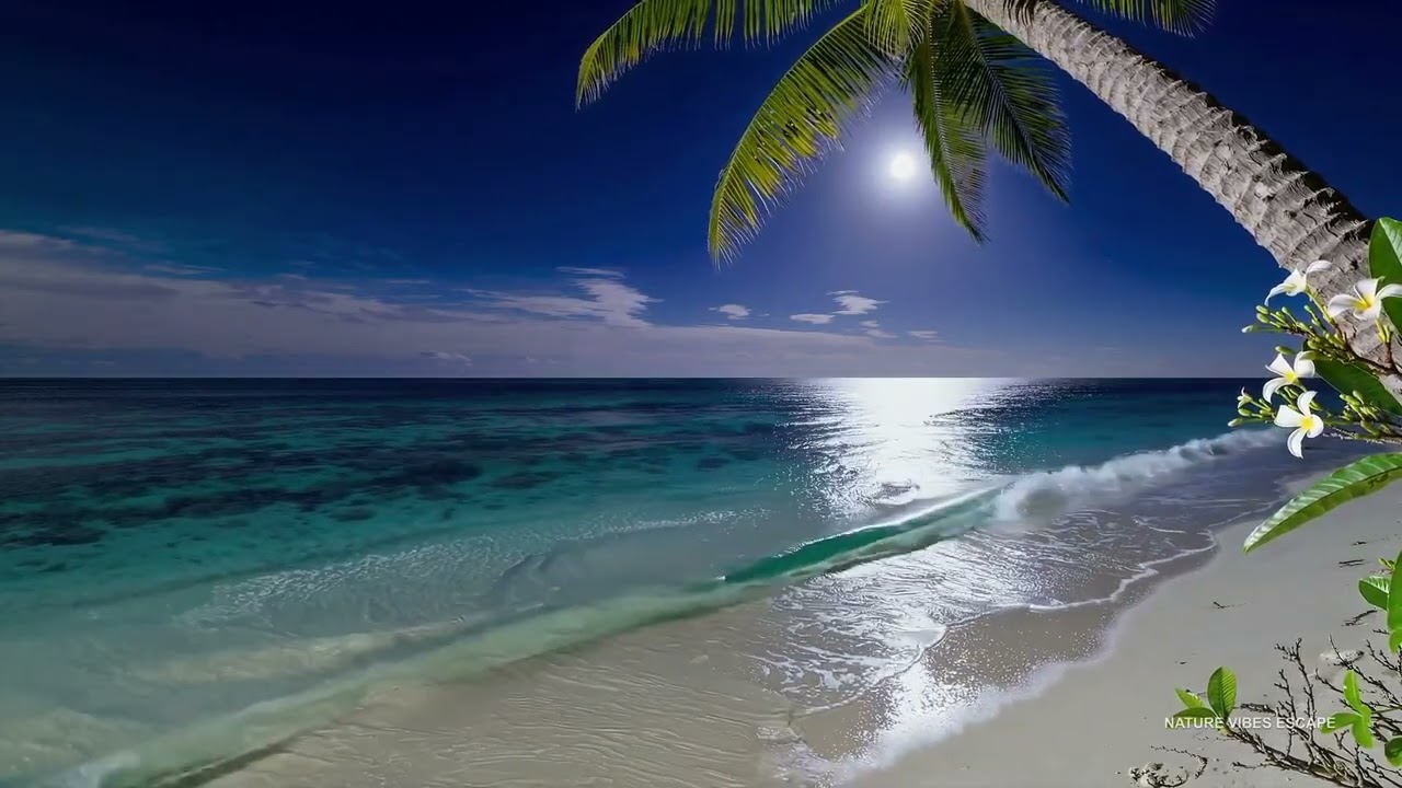 Deep Sleep 💤 Negril, Jamaica • Caribbean Sea Vibe • Ocean Sounds | Study • Focus | 4h 4K 🏝️