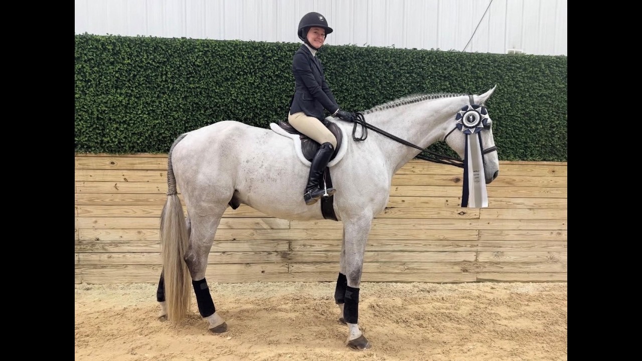 Untouch Du Faurieu Z • 15-17 Class Win