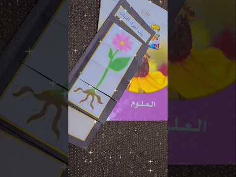 مطويه العلوم للصف اول ابتدائي فصل الدراسي الأول أجزاء النبات Shortsvideo اكسبلورفولو لايك 