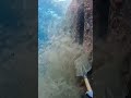 Underwater Closely Hull Cleaning 👀🛳️