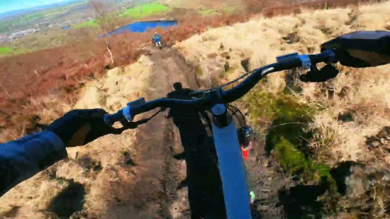 Staley Trig following Ollie. Thin Brown Line, Are You Local, Cock Wood. April 2023