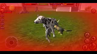 Ultimate Cat Simulator Full Gameplay