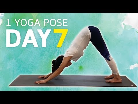 ฝึกโยคะ 1 ท่า (เกือบ) ทุกวัน Day7 DownDog | โยคะเบื้องต้น kiartyoga