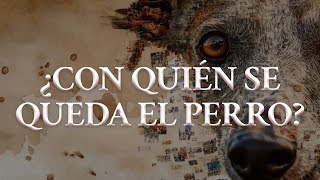Jesse &amp; Joy - ¿CON QUIÉN SE QUEDA EL PERRO? (Letra oficial / Official lyrics)