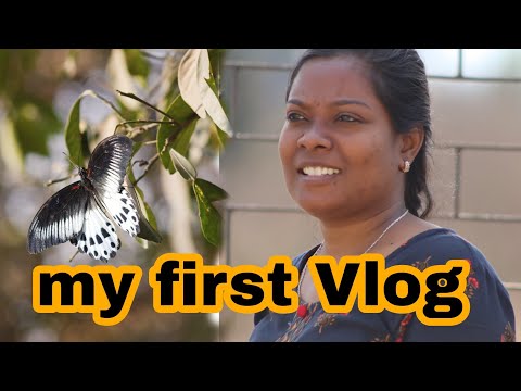 my first Vlog patient treatment and gardening my health and wellness centre by C H O SANTOSHI KUMARI
