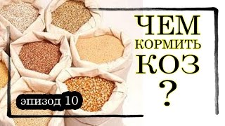 эпизод 10. Чем кормить коз