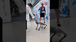 14 декабря  Наумов день  #знаниесила #science #наука #робопёс #robotics #ai #видеографсириус #shorts