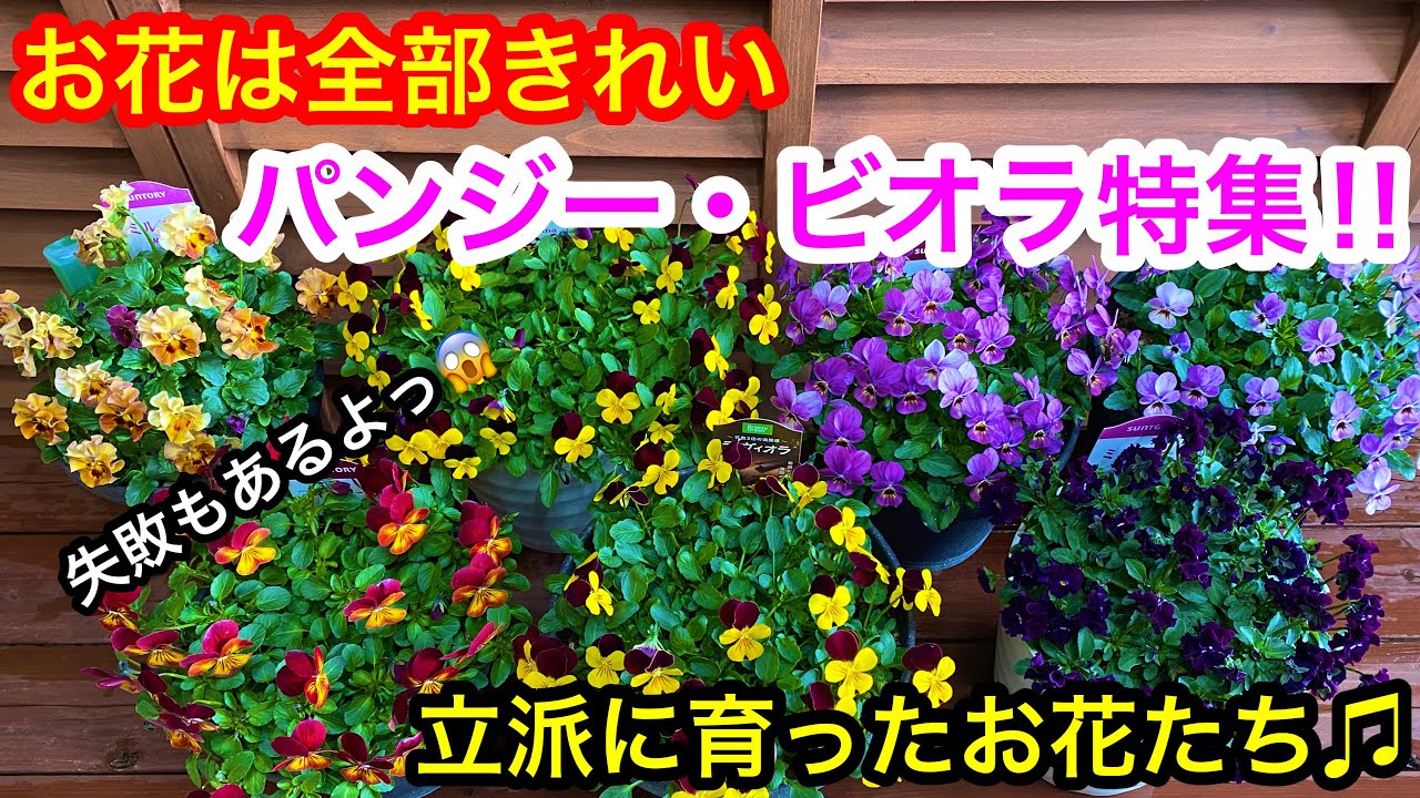 All the flowers are beautiful!!