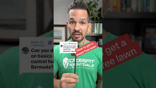 How to get a weed free lawn in 3 steps