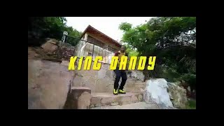 King Dandy  “Ulendo”