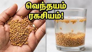 வெந்தயம் மருத்துவ நன்மைகள் | Top 10 Health Benefits of Soaked Fenugreek Seeds in Tamil | venthayam