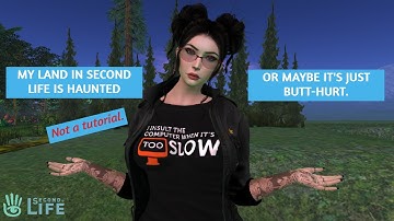 Second Life, Internet and Butt-hurt Problems.