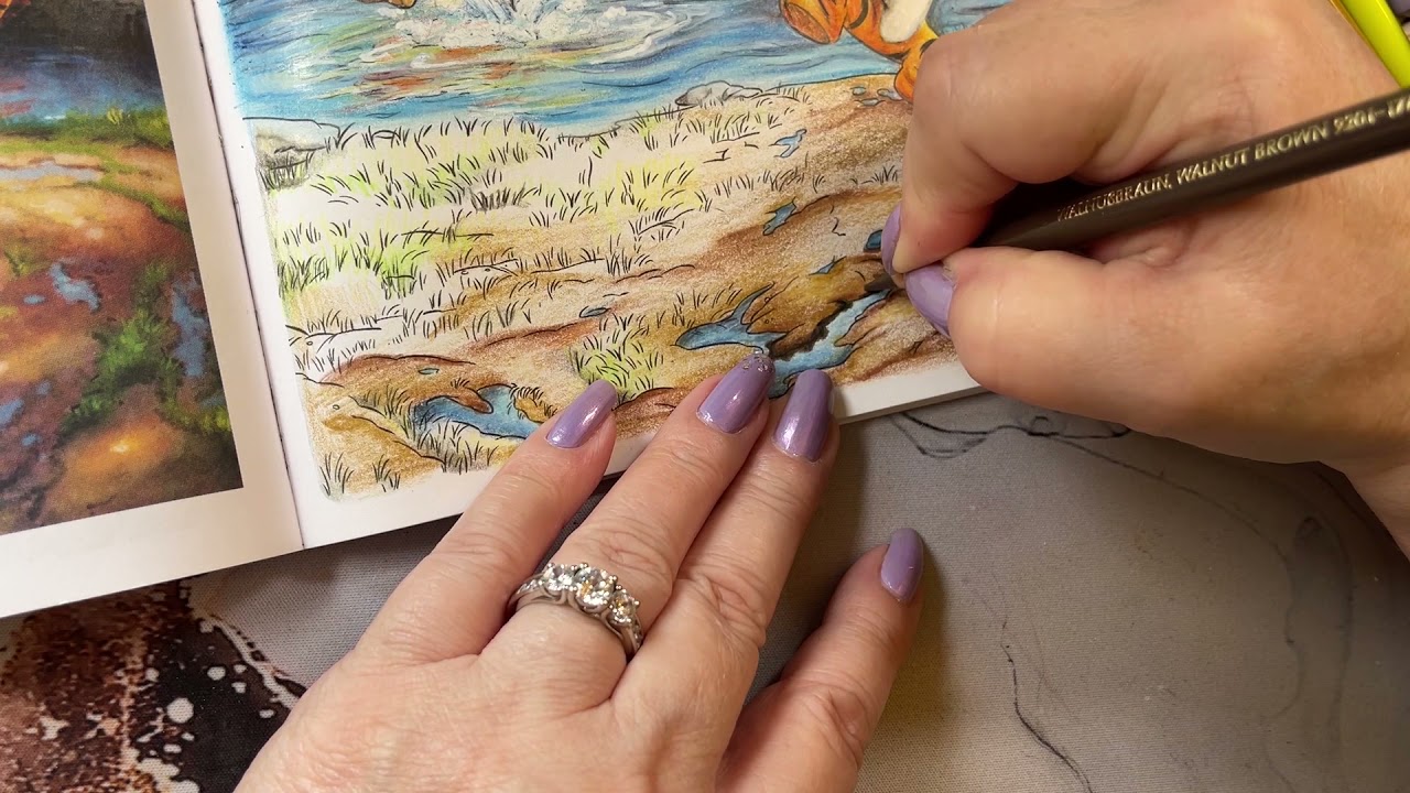 Adult Coloring  Disney Winnie the Pooh Final part