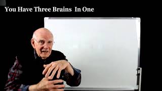 9- The Three Brains You Have