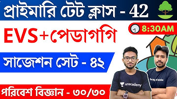 WB Primary TET 2022 Environment Class - 42 | প্রাইমারি টেট পরিবেশ ও পেডাগগি | WB TET EVS Pedagogy
