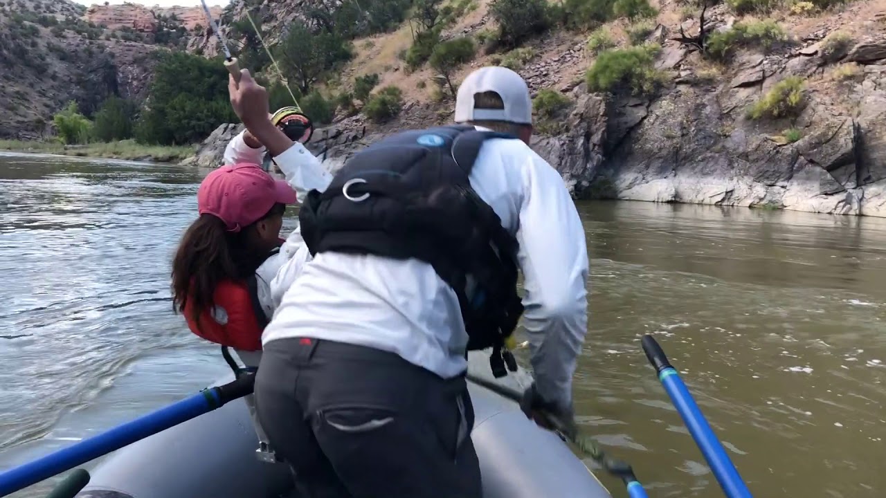 great takes on salmon fly hatch Black Canyon Gunnison River YouTube