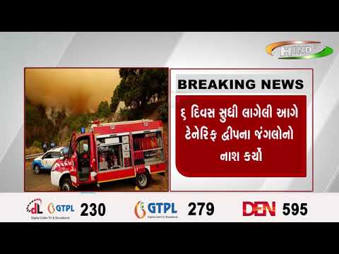 સ્પેનના ફાયરફાઈટર્સે જંગળમાં લાગેલી વિકરાળ આગને સ્થિર કરવામાં સંઘર્ષ કર્યો