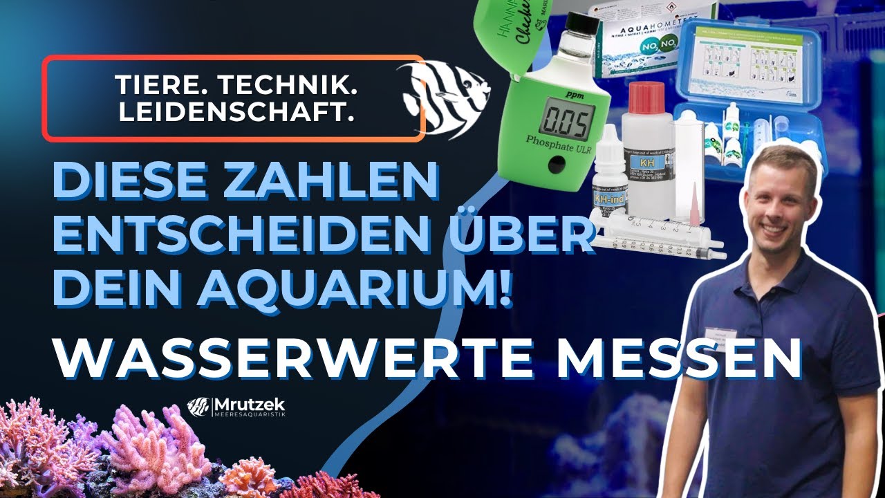 Teil 8: Wasser selber messen und welche Wassertests wir empfehlen! | Meerwasseraquarium für Anfänger