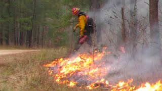 Battle continues as Sabine National Forest fire reaches 275 acres