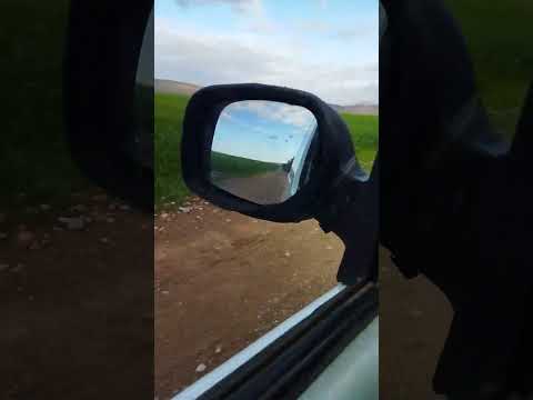 لوكان لبكا يرد لي فات نبكي عليها طول حياتي