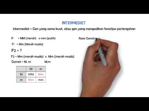5 Genetika Mendel Belajar Biologi Bersama Bu Hesti