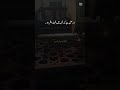 Untitled video