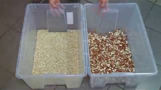 Сolour sorting of peanut on SmartSort optical sorter