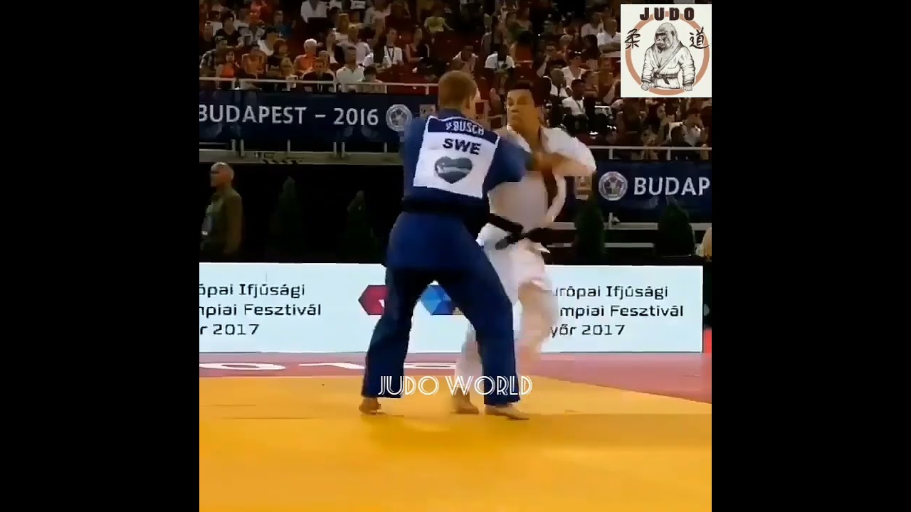 Вот это Бросок. ПЕРЕДНЯЯ ПАДНОЖКА (TAI-OTOSHI).