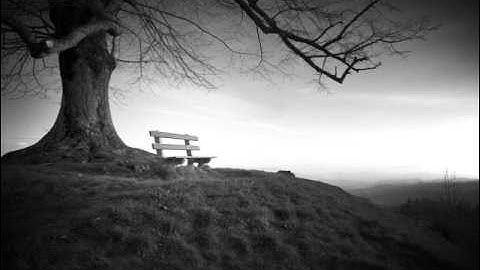 Prelude No.8 in C# Minor by Robert D. Vandall