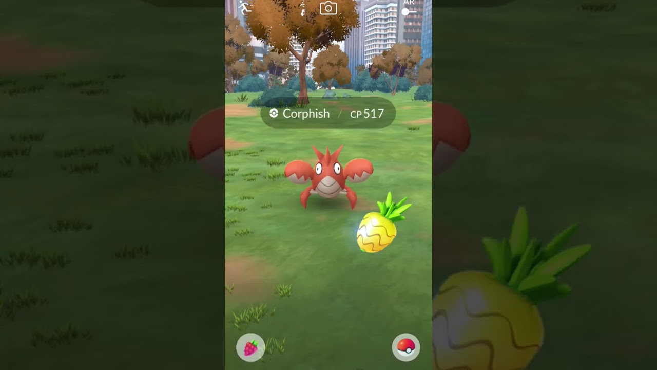 Pinch Perfect #corphish timed resech🦀 #klawf #pokemongo #pokemon #shorts #short #rock #kanto #paldea