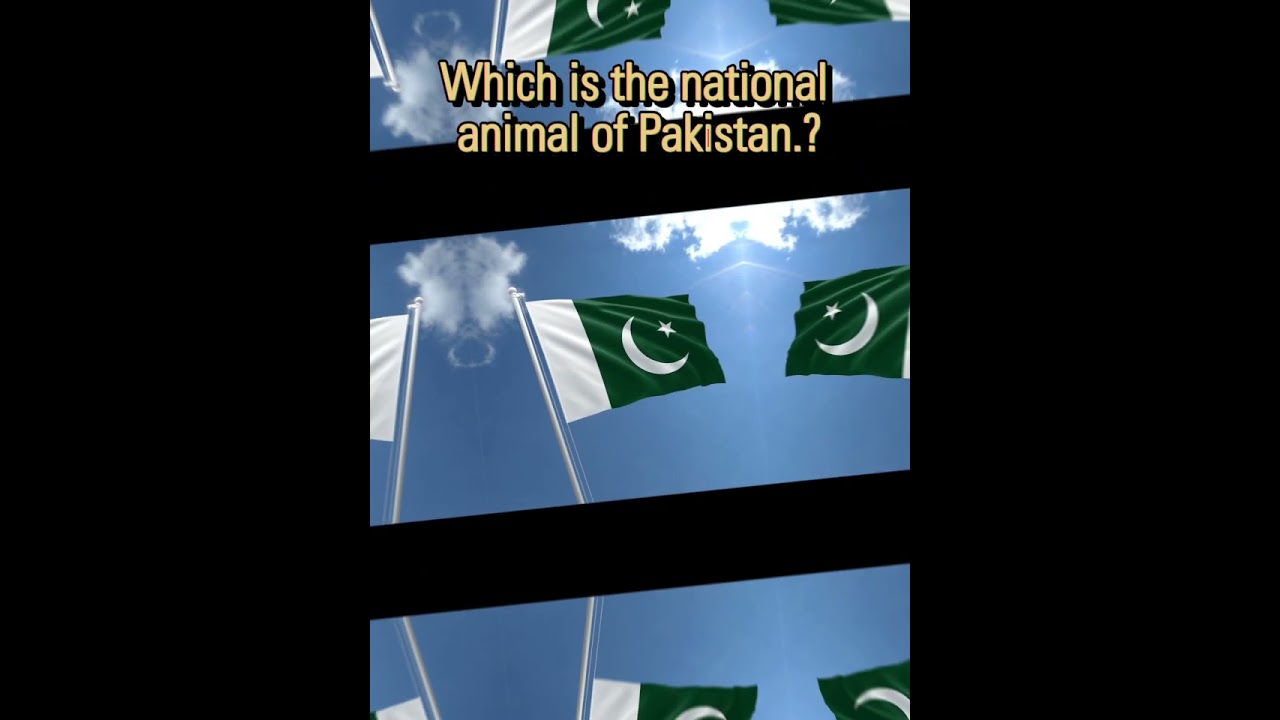 Which is the National Animal Of Pakistan.? | National Pride. 