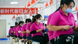 Chinese think tank refutes allegations of forced labor in Xinjiang