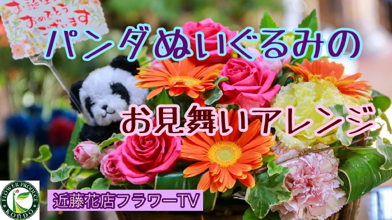 有田の花屋さん動画 近藤花店フラワーtv パンダのぬいぐるみアレンジ編 Youtube