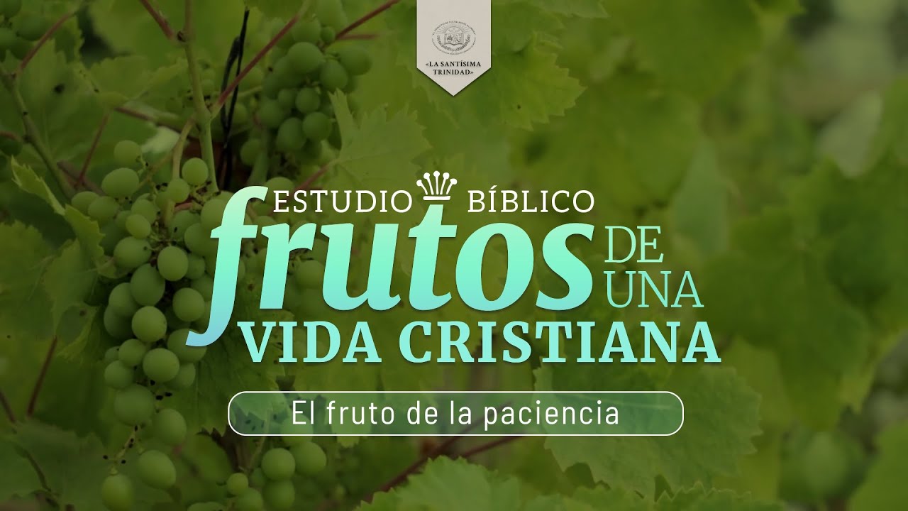 EL FRUTO DE LA PACIENCIA - YouTube