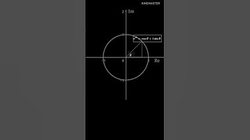 The equation evaluated by Euler—Euler